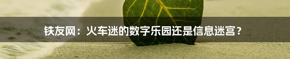 铁友网:火车迷的数字乐园还是信息迷宫?