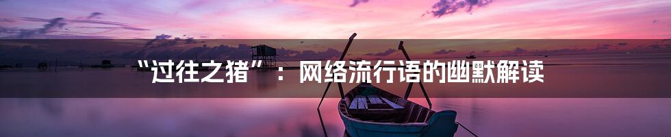 “过往之猪”：网络流行语的幽默解读