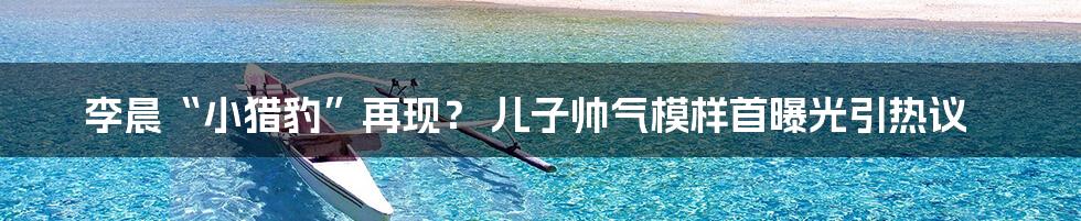 李晨“小猎豹”再现？ 儿子帅气模样首曝光引热议