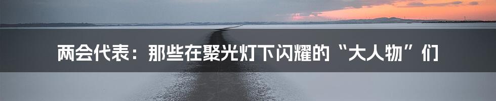 两会代表:那些在聚光灯下闪耀的“大人物”们