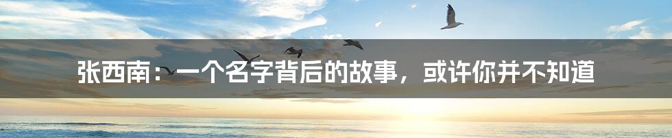 张西南：一个名字背后的故事，或许你并不知道