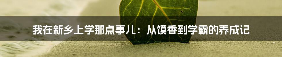 我在新乡上学那点事儿:从馍香到学霸的养成记