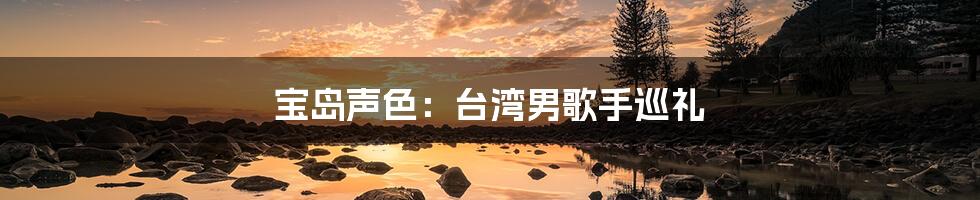宝岛声色：台湾男歌手巡礼