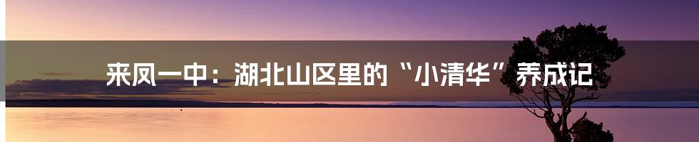 来凤一中：湖北山区里的“小清华”养成记