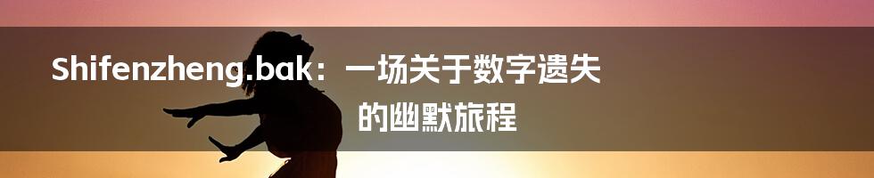 Shifenzheng.bak:一场关于数字遗失的幽默旅程