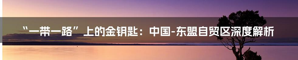 “一带一路”上的金钥匙:中国-东盟自贸区深度解析