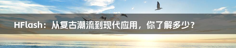 HFlash:从复古潮流到现代应用,你了解多少?