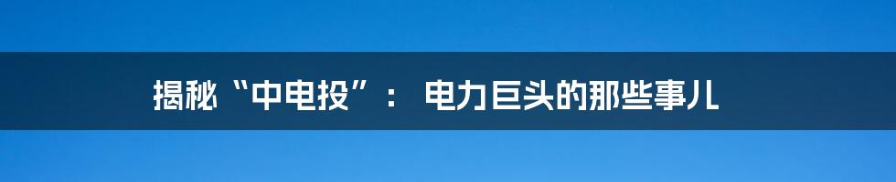 揭秘“中电投”: 电力巨头的那些事儿