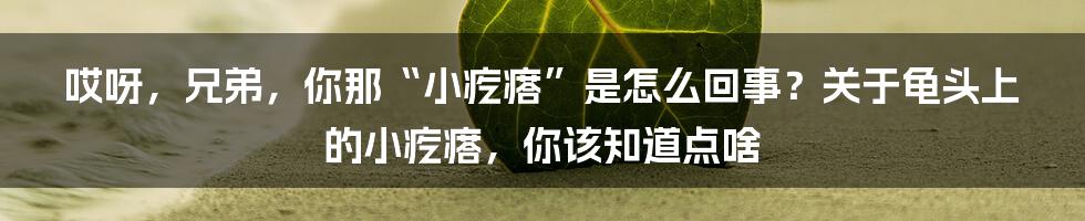 哎呀,兄弟,你那“小疙瘩”是怎么回事?关于龟头上的小疙瘩,你该知道点啥