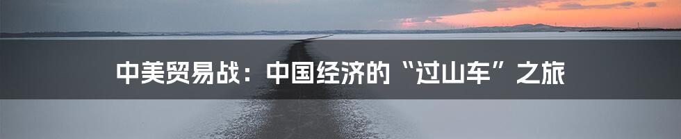 中美贸易战:中国经济的“过山车”之旅