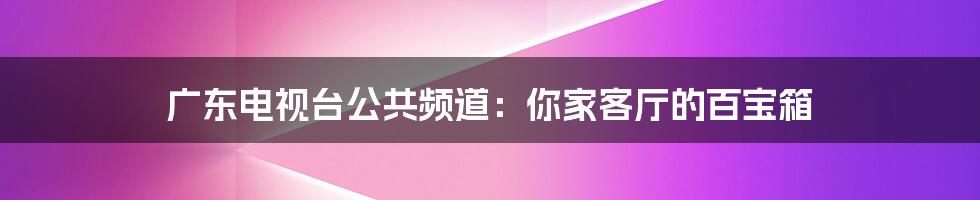 广东电视台公共频道:你家客厅的百宝箱