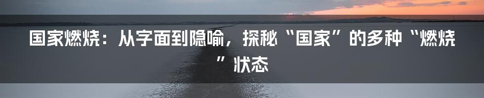 国家燃烧：从字面到隐喻，探秘“国家”的多种“燃烧”状态