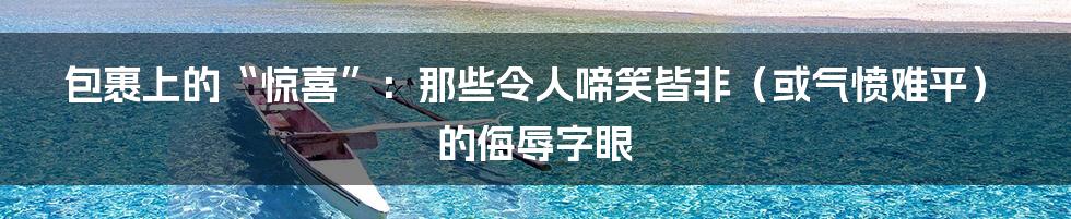 包裹上的“惊喜”:那些令人啼笑皆非(或气愤难平)的侮辱字眼