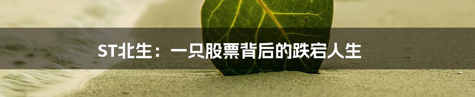 ST北生:一只股票背后的跌宕人生