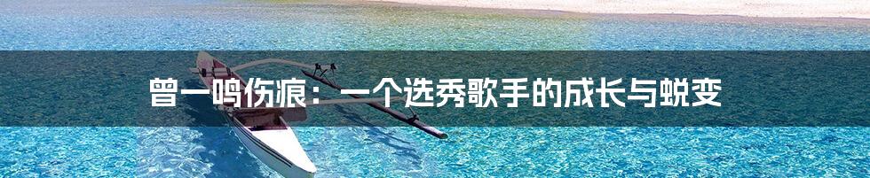 曾一鸣伤痕:一个选秀歌手的成长与蜕变
