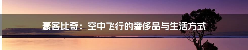 豪客比奇:空中飞行的奢侈品与生活方式