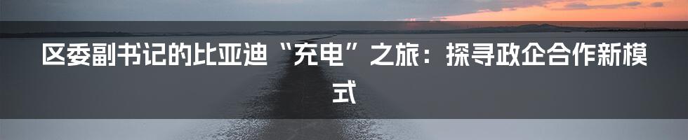 区委副书记的比亚迪“充电”之旅:探寻政企合作新模式