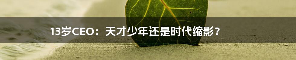 13岁CEO:天才少年还是时代缩影?