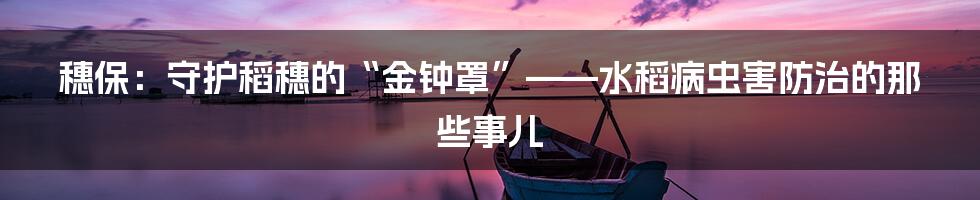 穗保：守护稻穗的“金钟罩”——水稻病虫害防治的那些事儿