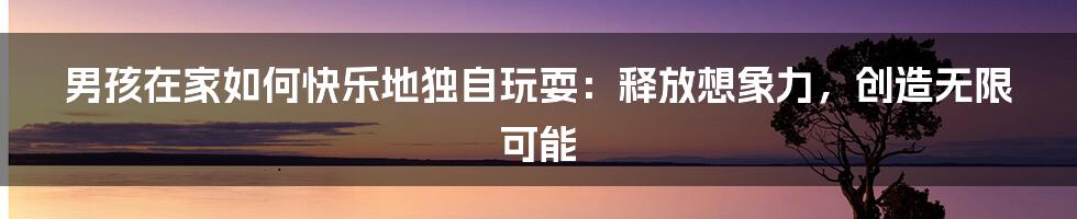 男孩在家如何快乐地独自玩耍:释放想象力,创造无限可能