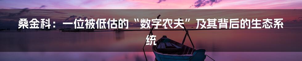 桑金科:一位被低估的“数字农夫”及其背后的生态系统