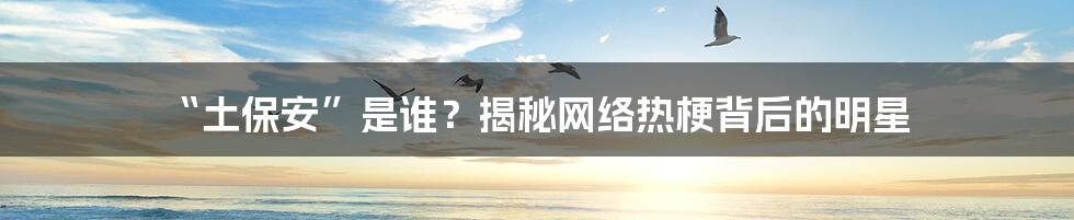 “土保安”是谁？揭秘网络热梗背后的明星