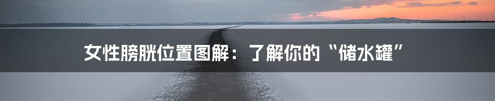 女性膀胱位置图解:了解你的“储水罐”