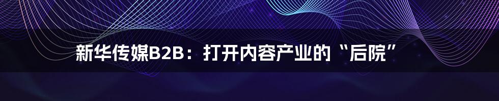 新华传媒B2B:打开内容产业的“后院”