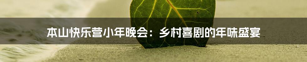 本山快乐营小年晚会:乡村喜剧的年味盛宴