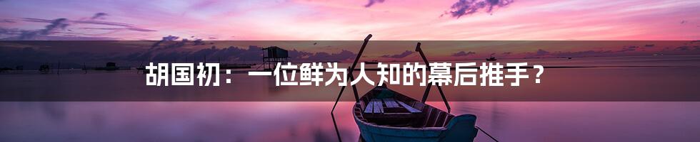 胡国初:一位鲜为人知的幕后推手?