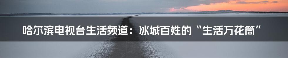 哈尔滨电视台生活频道：冰城百姓的“生活万花筒”