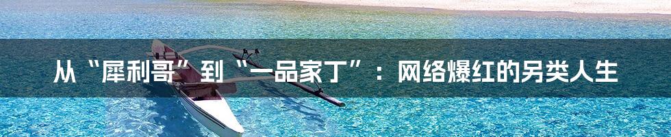 从“犀利哥”到“一品家丁”:网络爆红的另类人生