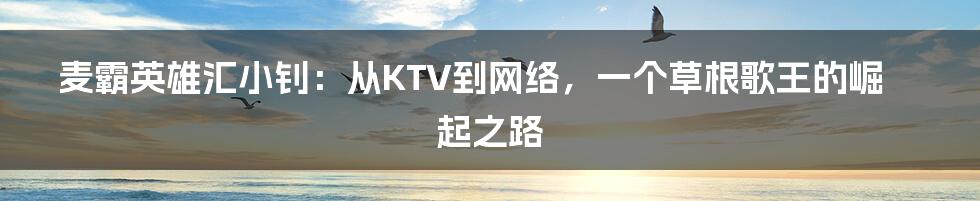 麦霸英雄汇小钊:从KTV到网络,一个草根歌王的崛起之路