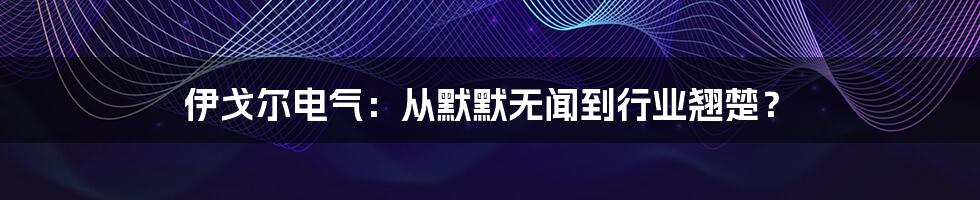 伊戈尔电气:从默默无闻到行业翘楚?