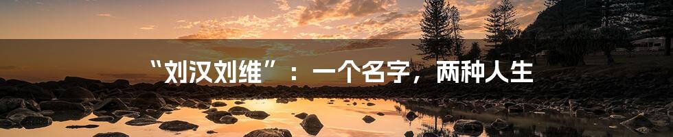 “刘汉刘维”:一个名字,两种人生