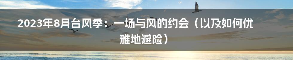 2023年8月台风季：一场与风的约会（以及如何优雅地避险）