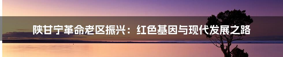 陕甘宁革命老区振兴:红色基因与现代发展之路