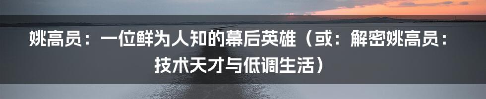 姚高员：一位鲜为人知的幕后英雄（或：解密姚高员：技术天才与低调生活）