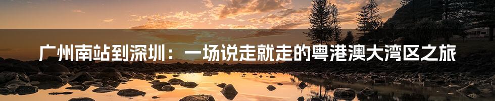 广州南站到深圳：一场说走就走的粤港澳大湾区之旅