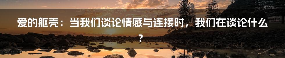 爱的躯壳:当我们谈论情感与连接时,我们在谈论什么?