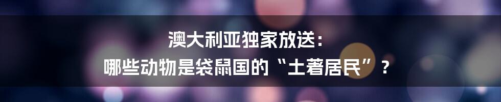 澳大利亚独家放送： 哪些动物是袋鼠国的“土著居民”？