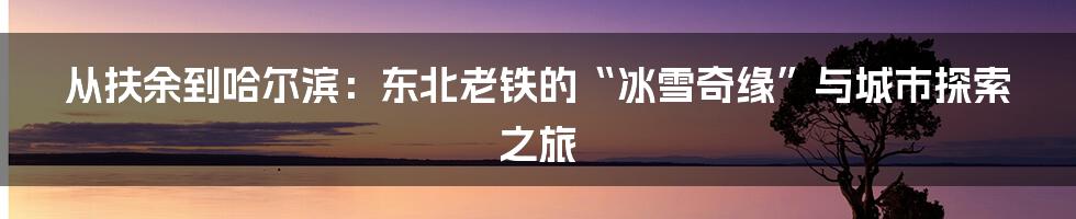从扶余到哈尔滨：东北老铁的“冰雪奇缘”与城市探索之旅