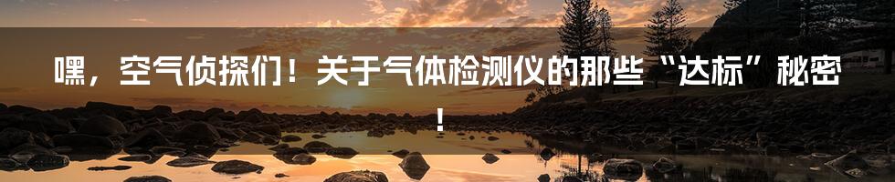 嘿,空气侦探们!关于气体检测仪的那些“达标”秘密!