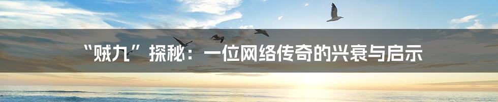 “贼九”探秘:一位网络传奇的兴衰与启示