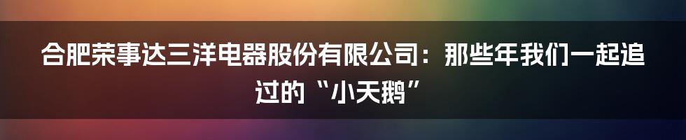 合肥荣事达三洋电器股份有限公司：那些年我们一起追过的“小天鹅”
