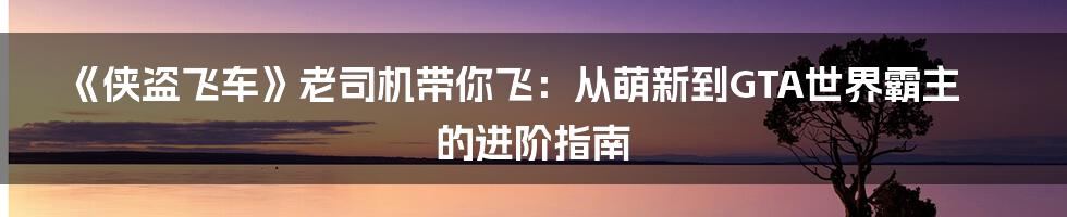 《侠盗飞车》老司机带你飞:从萌新到GTA世界霸主的进阶指南