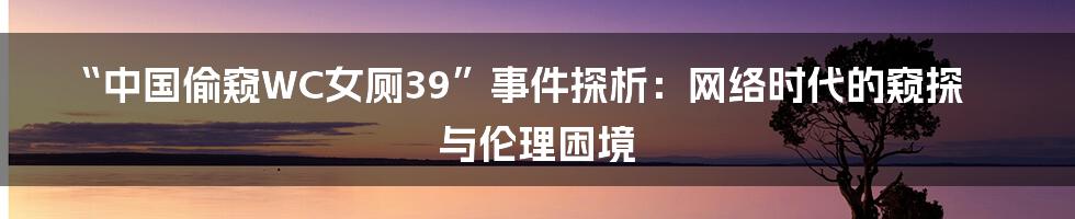 “中国偷窥WC女厕39”事件探析:网络时代的窥探与伦理困境