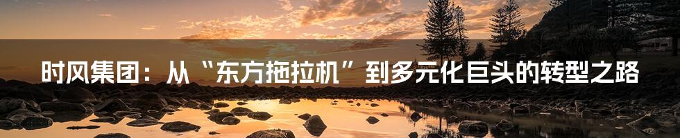 时风集团：从“东方拖拉机”到多元化巨头的转型之路