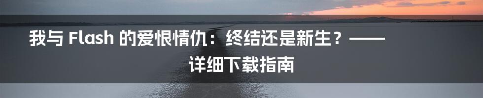 我与 Flash 的爱恨情仇:终结还是新生?—— 详细下载指南
