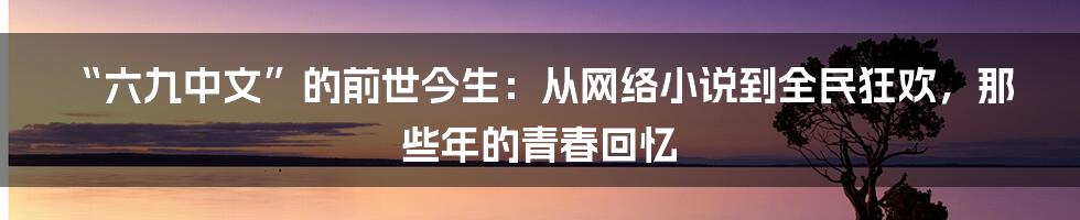 “六九中文”的前世今生：从网络小说到全民狂欢，那些年的青春回忆